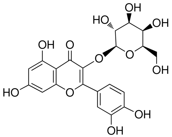 金絲桃苷分析對照品,≥97.0% (HPLC),482-36-0、Quercetin 3-D-galactoside,≥97.0％ (HPLC)